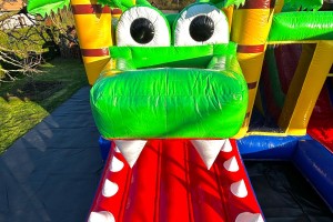Le Crocodile