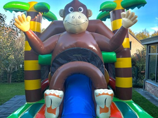 Donkey Kong