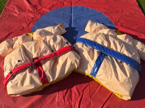 Sumo adulte